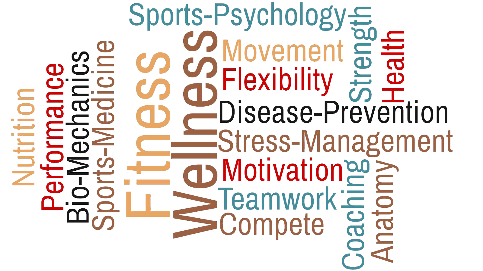 Physical Education and Kinesiology Word Cloud