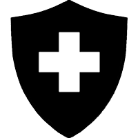 Shield Plus Icon